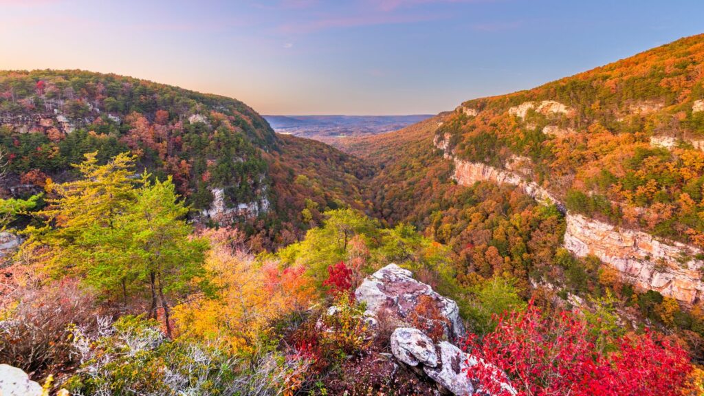 Fall foliage colors at Cloudland Canyon State Park, Rising Fawn