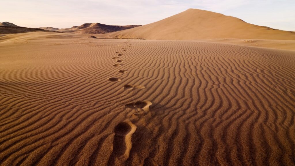 Footsteps in the Sand dunes in Bruneau Dunes State Park