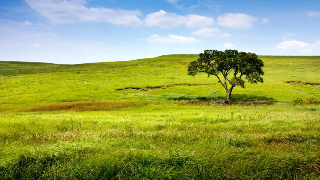 Serene nature landscape of the midwest Kansas Tallgrass Prairie Preserve