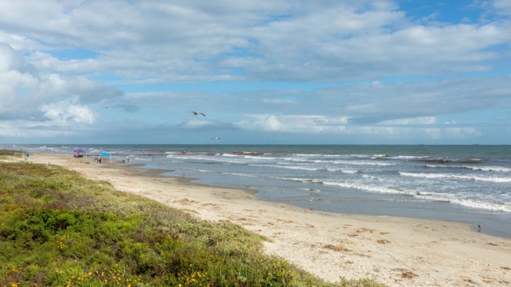 Matagorda Beach seashore view with some greens and blue sky