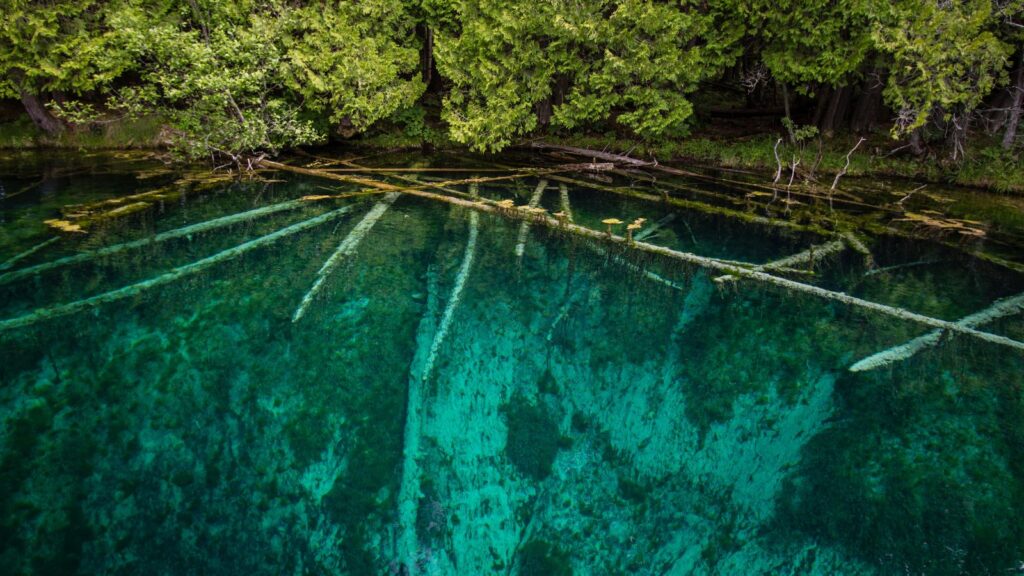 Kitch-i-ti-ki-pi Springs In Palms Book State Park, Michigan