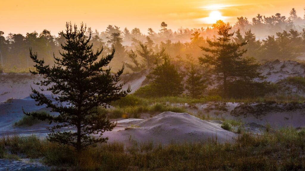 Michigan, Ludington State Park at Sunrise