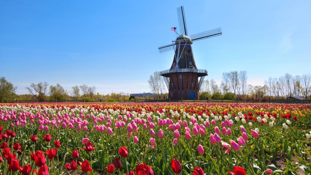 Michigan, Wooden Windmill in Holland