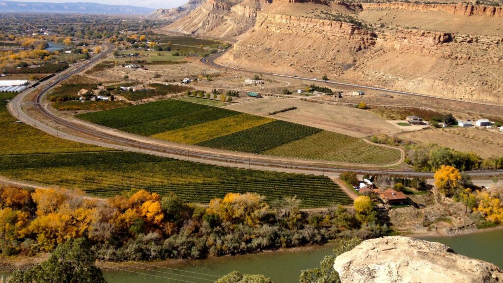 bird's eye view of vineyards in Palisades, CO