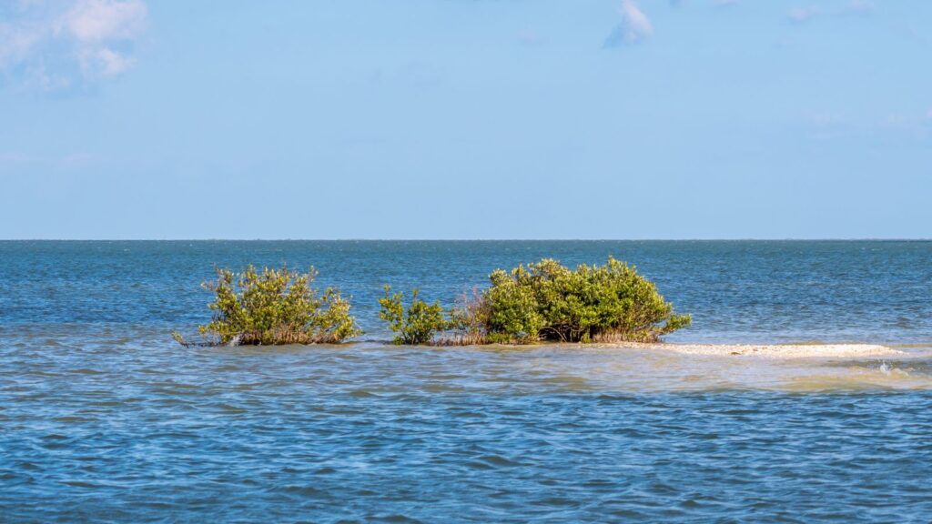 An overlooking landscape view of Rockport, Texas