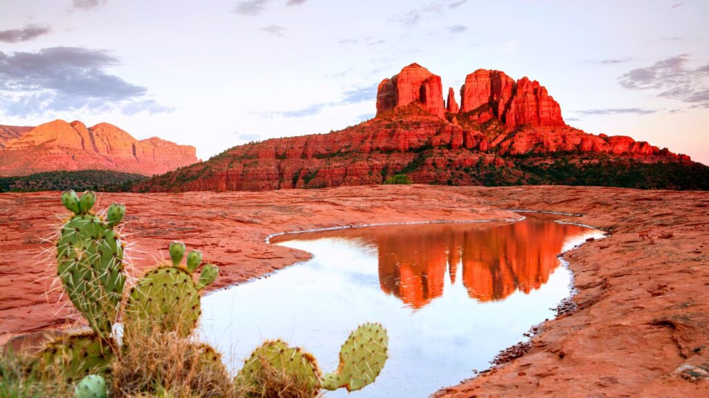 Sedona Arizona Red Rock Reflections with cactus