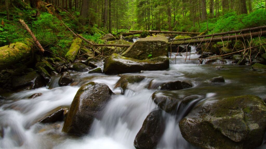 Sol Duc Hot Springs, Olympic NP