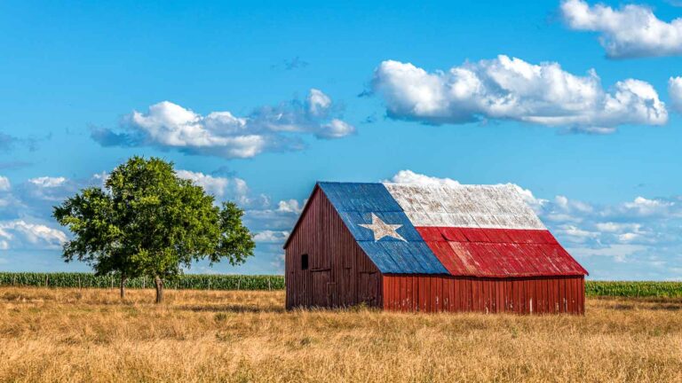 17 Surprising Facts About Texas to Impress Even Locals