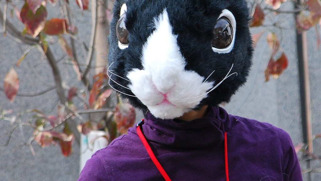 man wearing bunny mascot mask