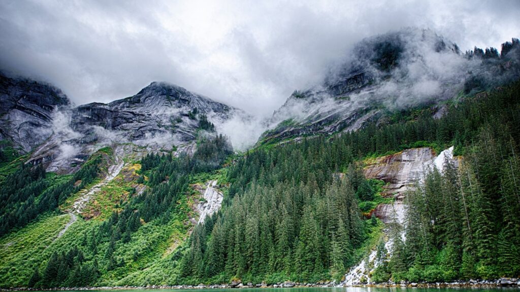 Alaska Landscape, Inside Passage, Alaska, USA