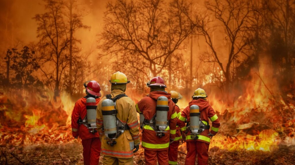 Mass wildfire with firefighters