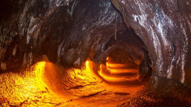 Volcano, Thurston Lava Tube, Hawaii