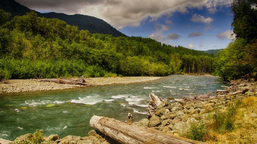 Washington, Olympic NP Elwha Valley