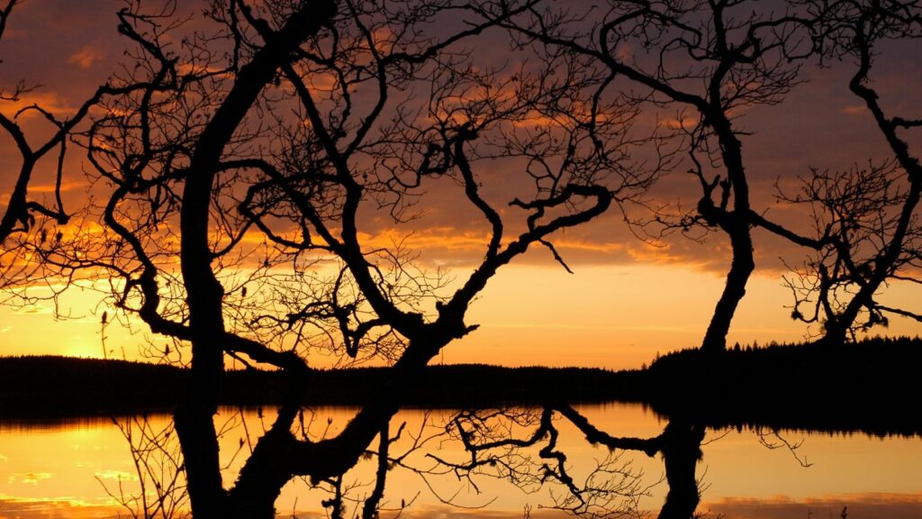 Washington, Olympic NP Lake Ozette at Sunset