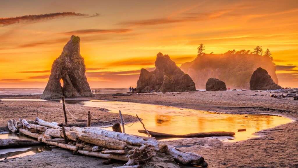 Washington, Olympic NP at Ruby Beach