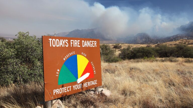 Wildfire Season Alert: 12 States Where Fires May Ruin Your Trip