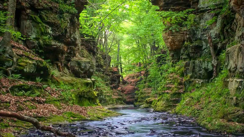 A slot canyon running through Pewits Nest State Natural Area near the Wisconsin Dells.