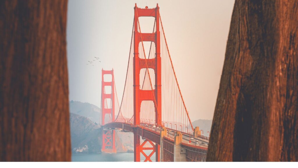 California Golden Gate Bridge framed by trees, San Francisco