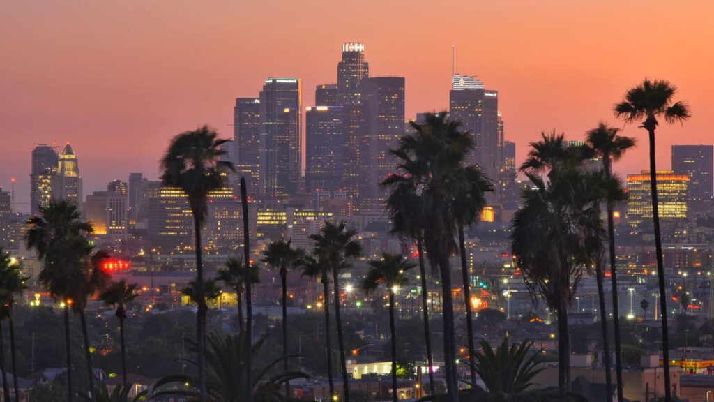 California Los Angeles Palm Tree Sunset