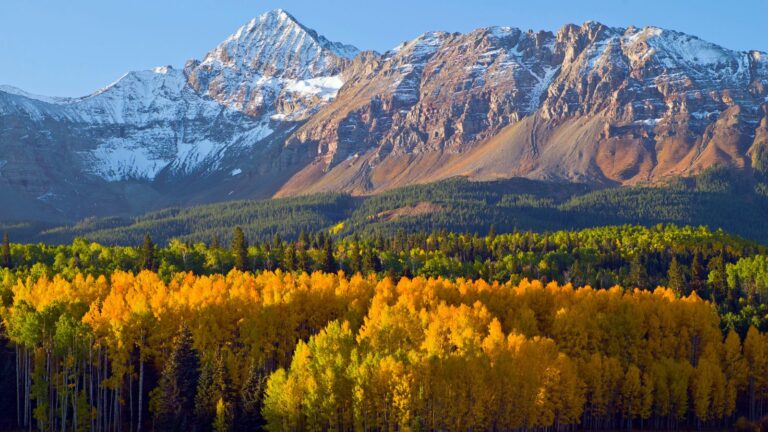 12 Fall Foliage Destinations So Beautiful, Even Van Gogh Would Be Impressed