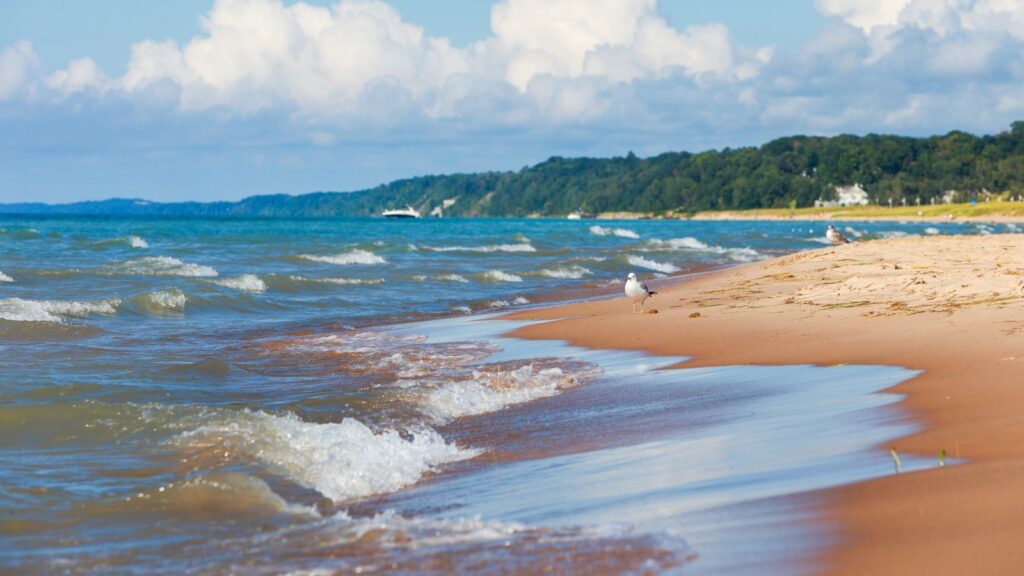 Illinois, Beach Background Lake Michigan Shoreline