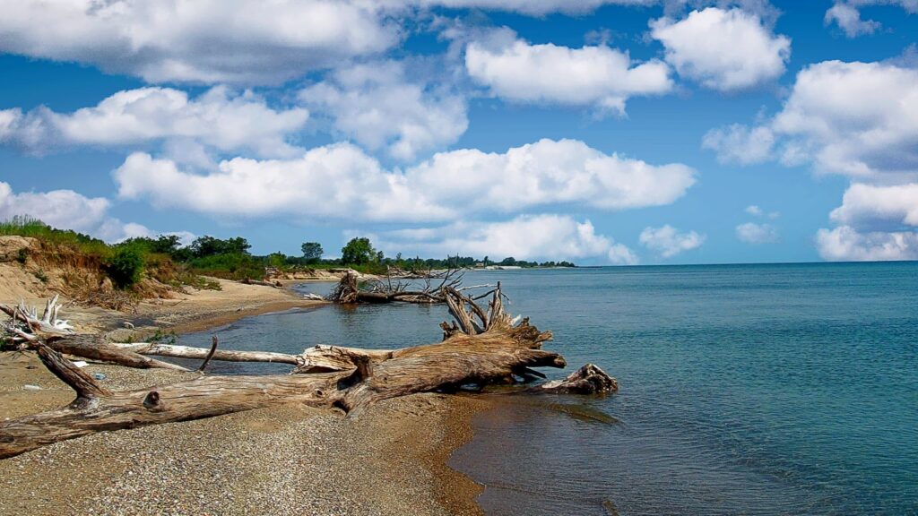 Illinois Beach State Park