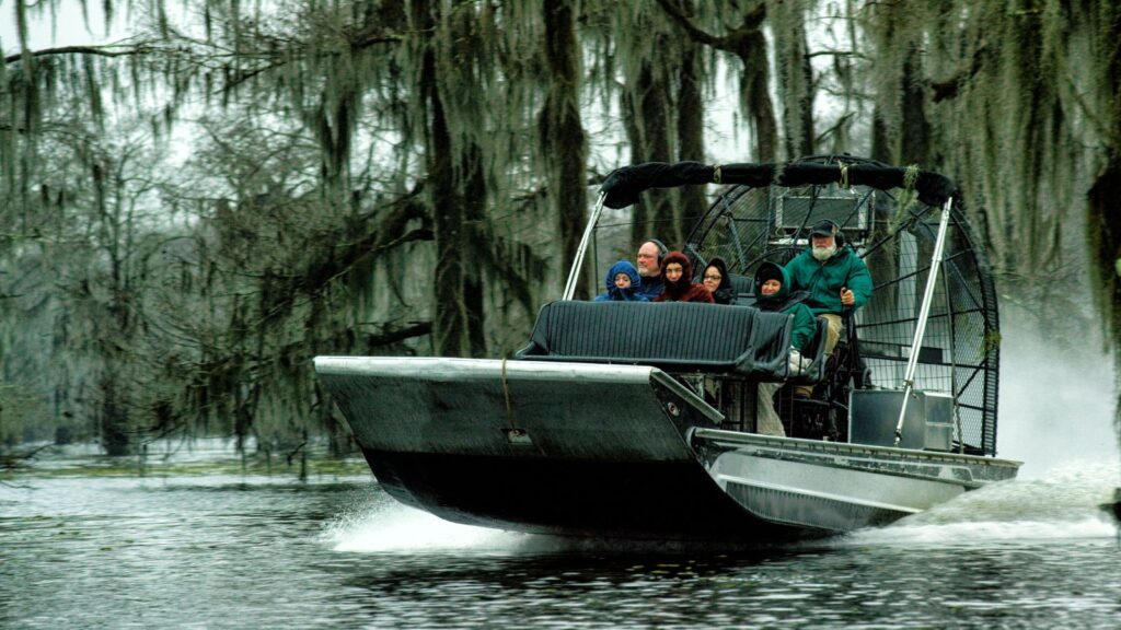 Louisiana, A close-up Airboat Tour in the Atchafalaya River Basin Swamp