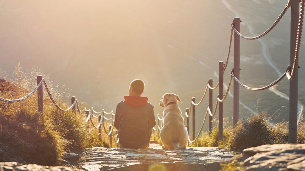 Man with dog in mountains