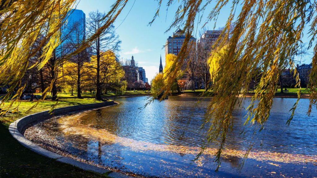 Massachusetts, Boston Public Garden - Back Bay