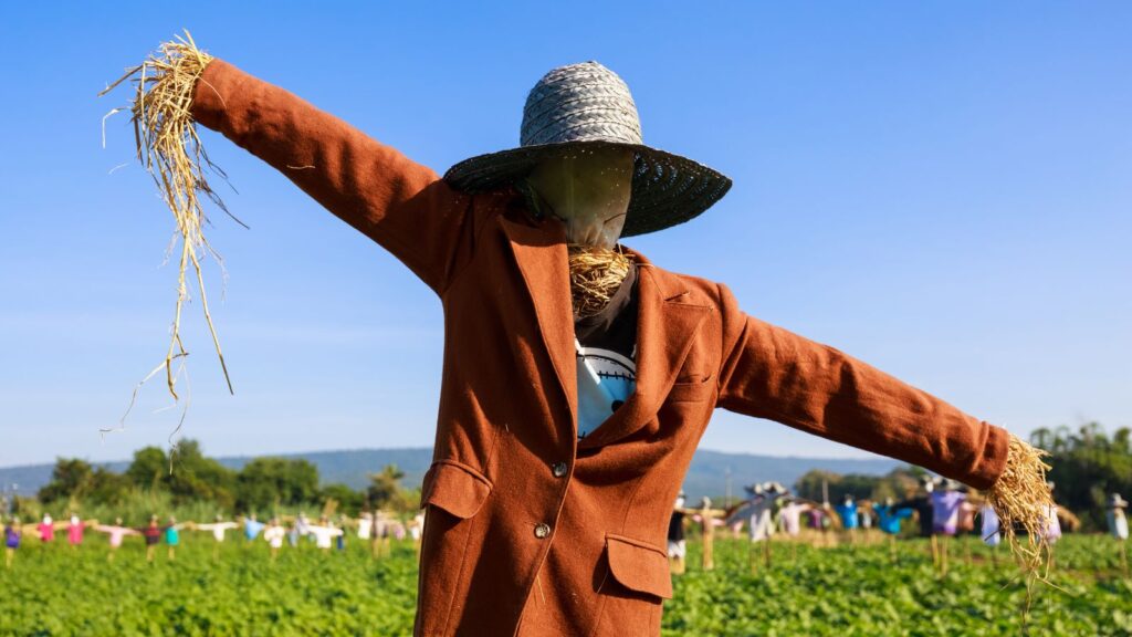 Scarecrow in field