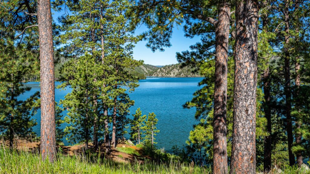 South Dakota, Pactola Lake through the trees, 