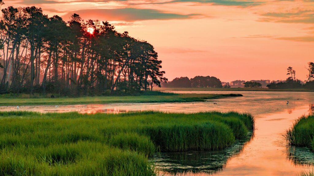 Virginia, Chincoteague Sunset Assateague