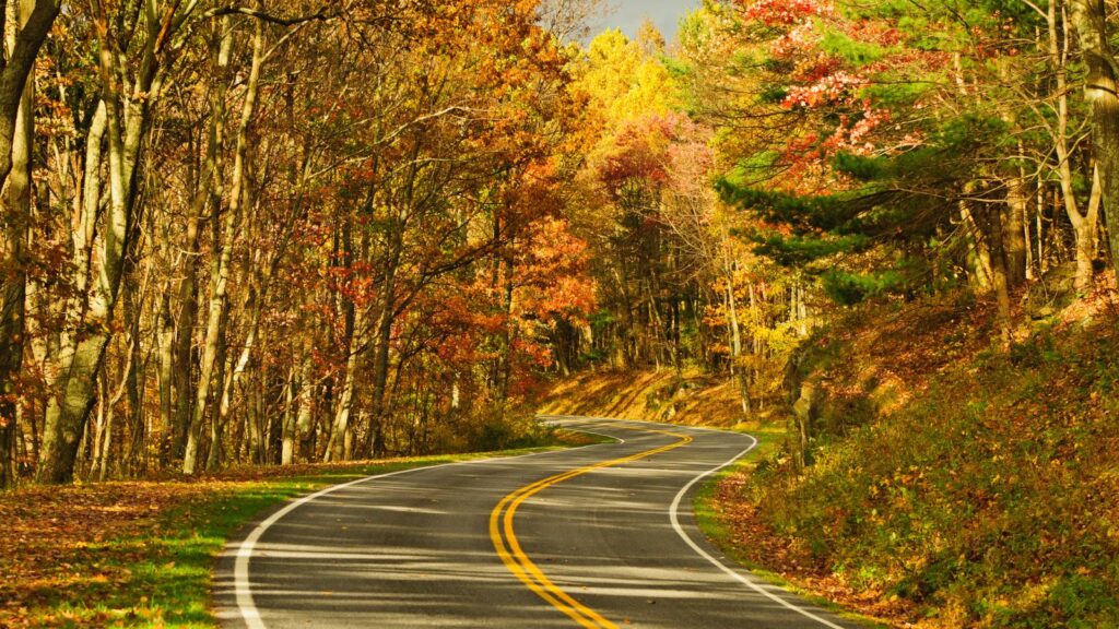 Virginia, S-Curve Road, Skyline Drive