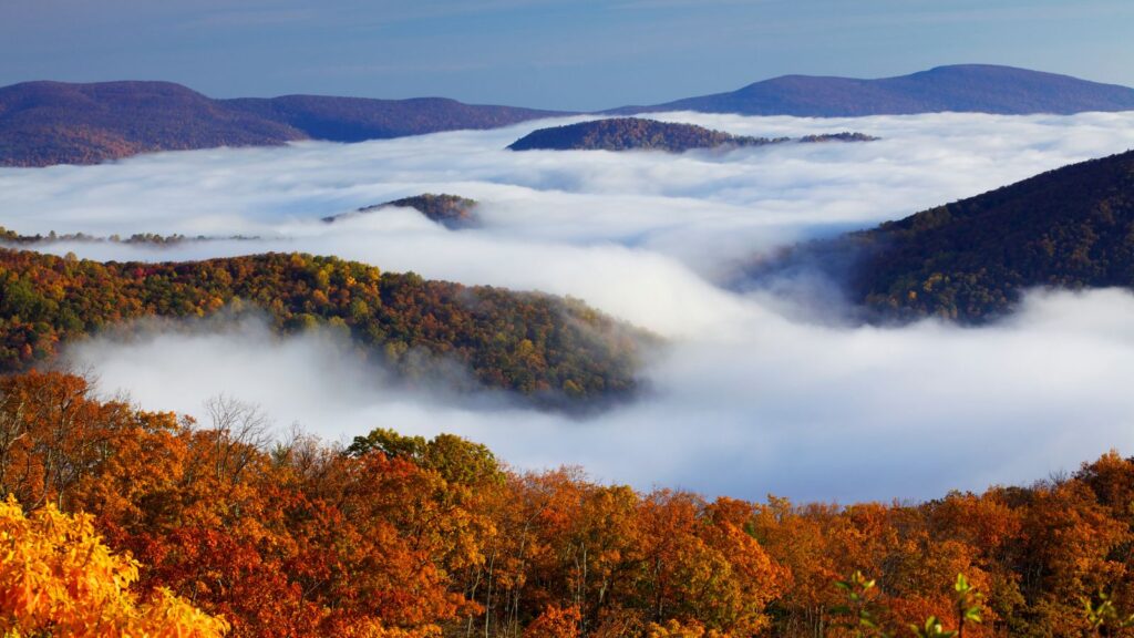 Virginia, Shenandoah National Park foggy canopies