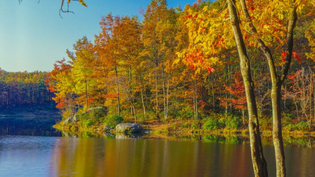 West Virginia, Autumn forest with pond reflections