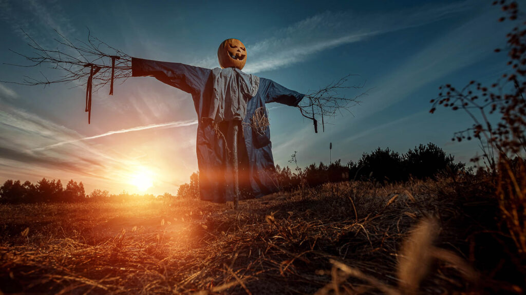 Creepy Scarecrow in Cornfield Scary Halloween