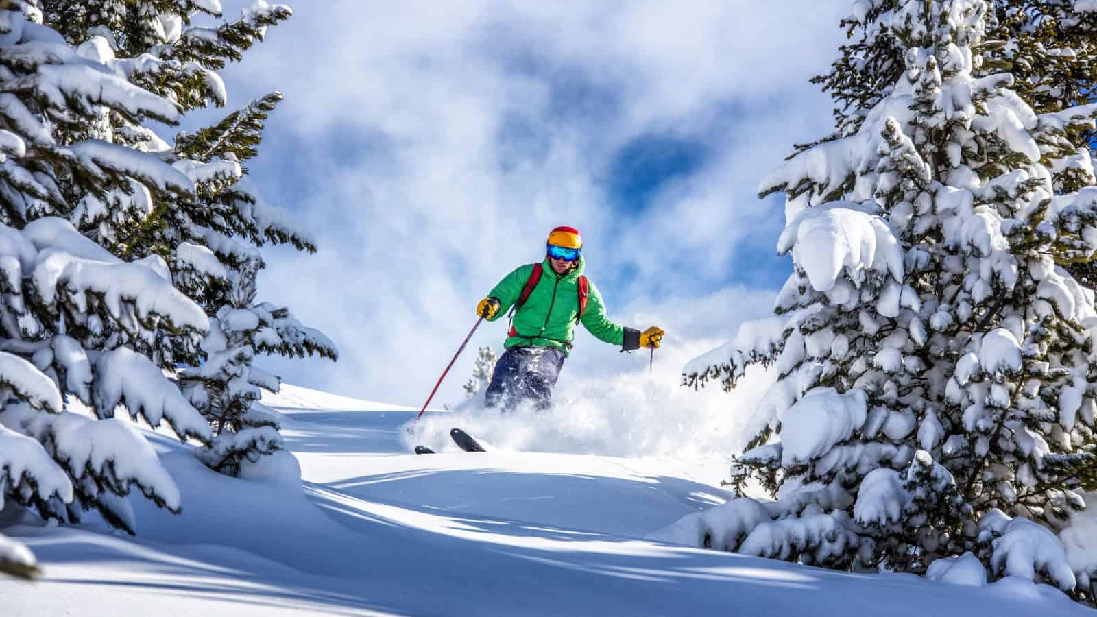 Freeride skier charging down through the forest in fresh powder