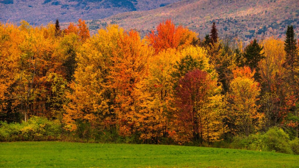 Green Mountains, Vermont