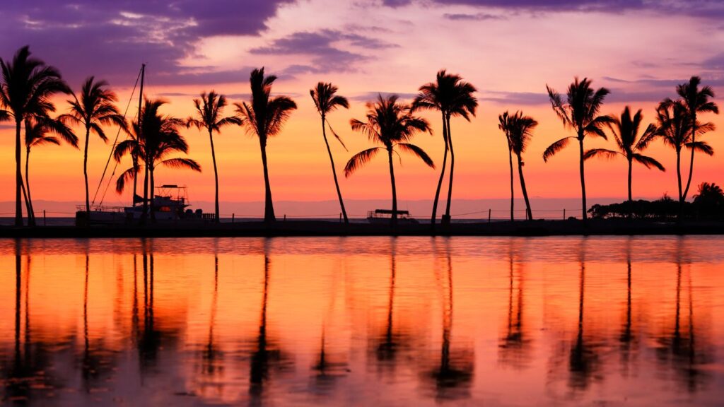 Hawaii Beach Sunset palm trees silhouette