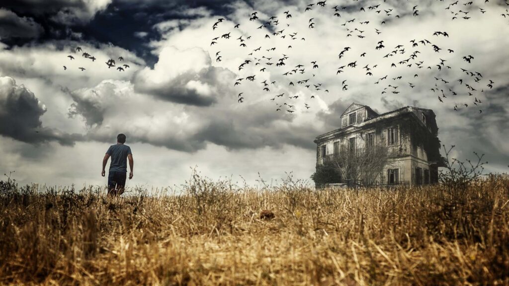 Man walking through Cornfield Scary Halloween