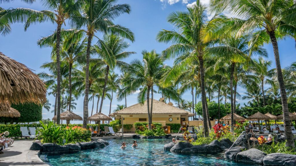 Resort in Hawaii palm trees