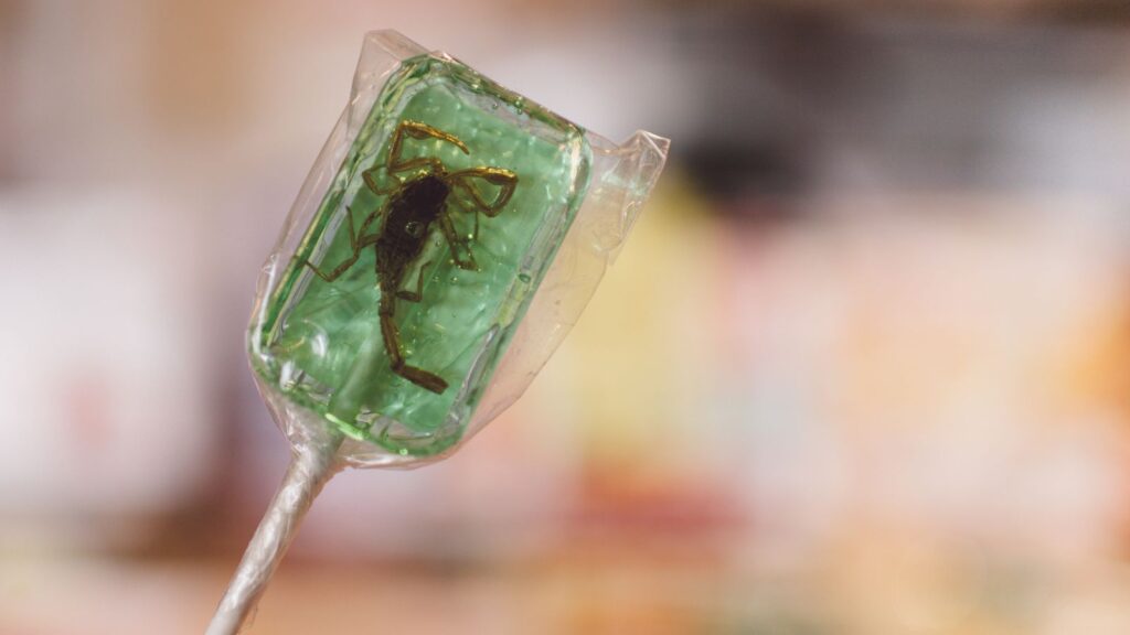 Close-Up Of Scorpion In Green Lollipop