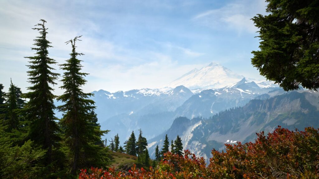 Mt. Baker Whatcom County in Washington State