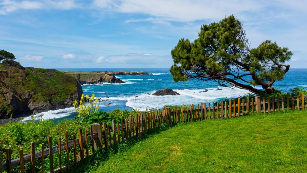 California, Mendocino County coast under the brightest sun and blues sky