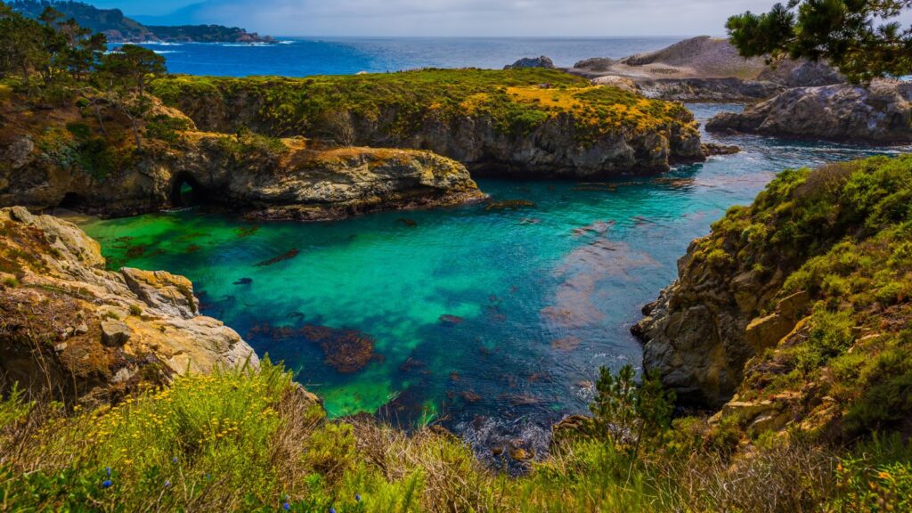 California, Point Lobos State Nature Reserve