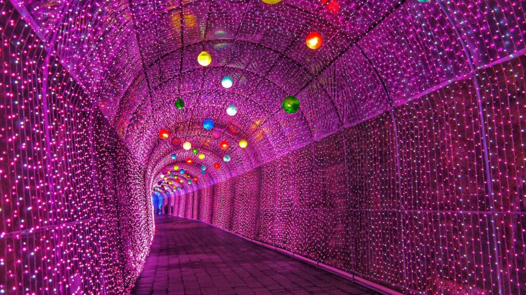 Pink Christmas Light Tunnel