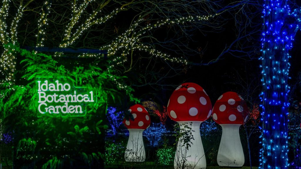 Holiday celebration ins lights at a local Botanical Garden