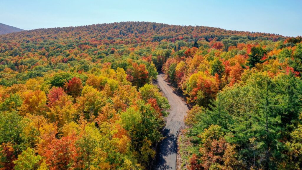 New York, Aerial view of fall foliage along the Catskill Mountains