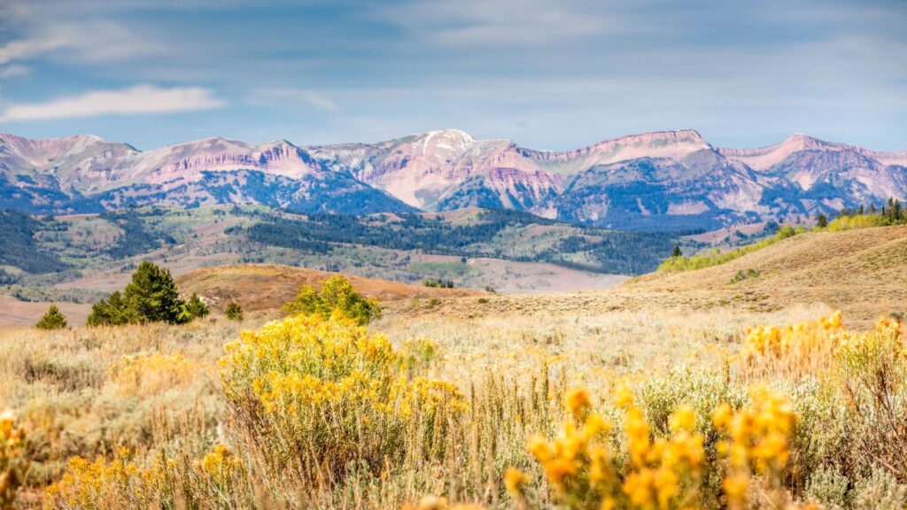Wyoming, Teton Pass Forest wilderness area