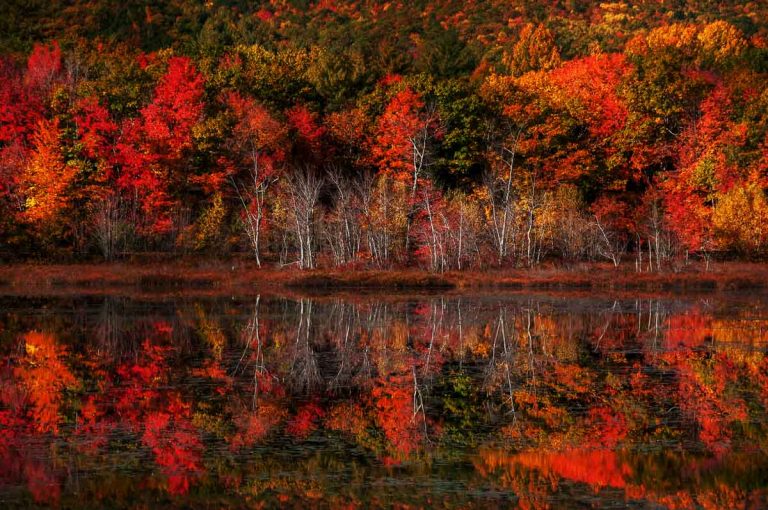 70+ Fall Bucket List Ideas That Make Autumn Feel Absolutely Magical